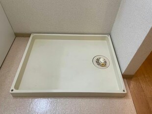 メゾンプランタニエールの物件内観写真